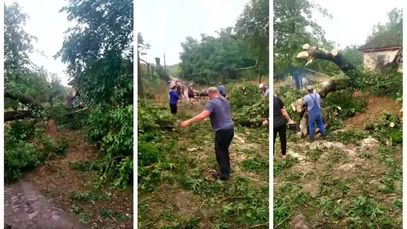 Потужна злива у Приютівській громаді: у Косівці підтоплені дороги та повалені дерева