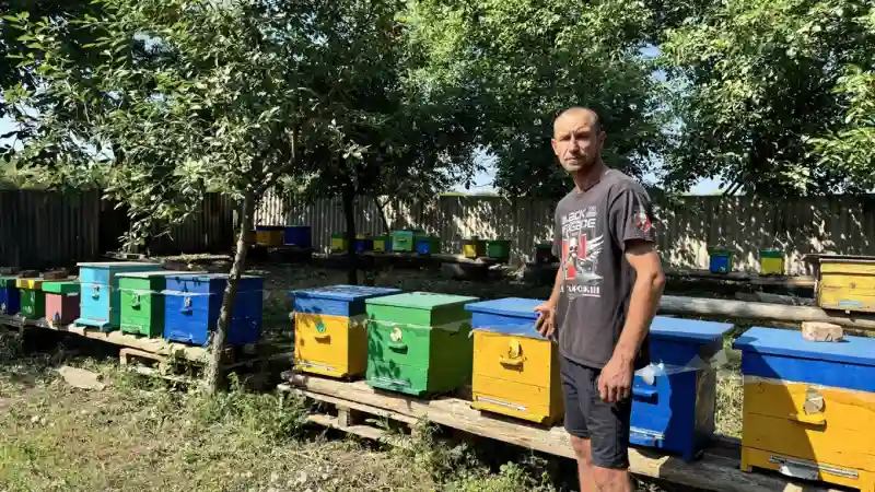 На Кіровоградщині ветеран заявляє про збитки через незаконно встановлену кочову пасіку
